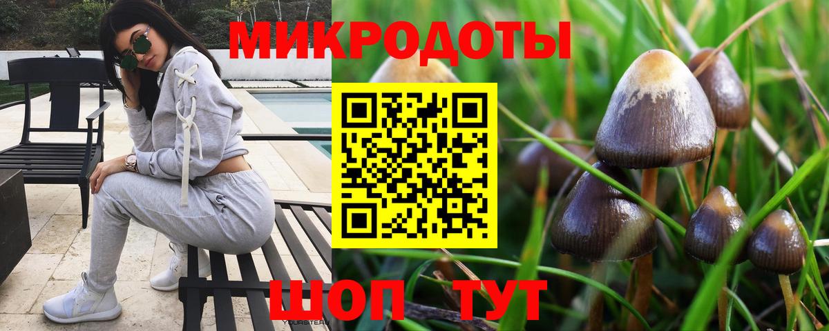 Камышлов  Галлюциногенные грибы Magic Shrooms  Псилоцибиновые грибы Psilocybe  Вход с VPN 