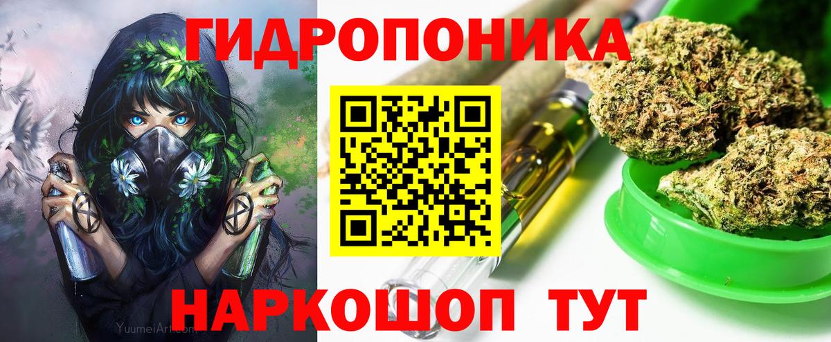 Камышлов  Марихуана тримм  Вход с VPN  Бошки марихуана план  Бошки Шишки SATIVA & INDICA  Канабис MAZAR 